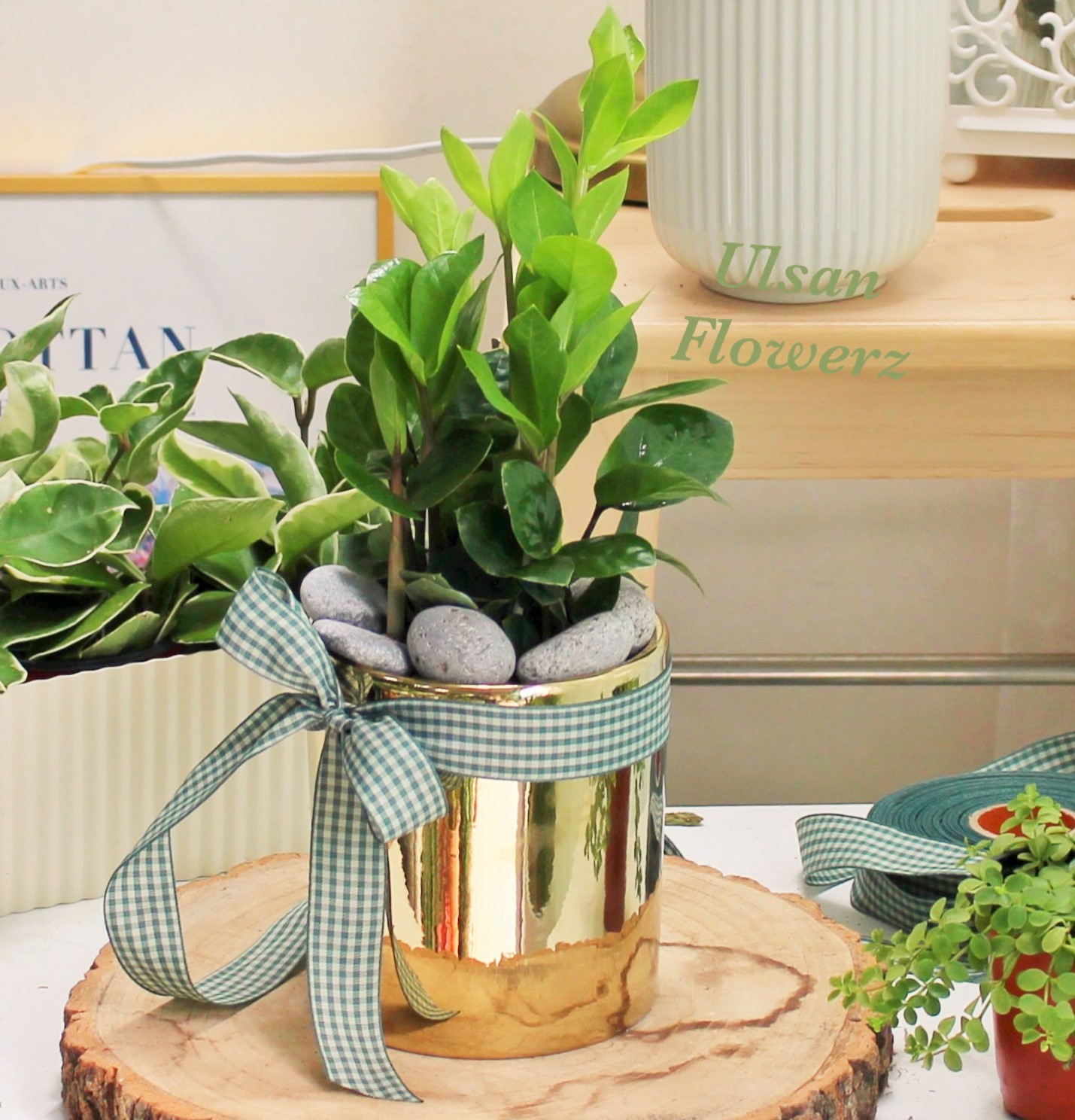 �󼼳��뺸��